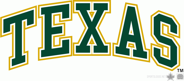 Texas Stars 2009 10-Pres Wordmark Logo iron on transfers for T-shirts